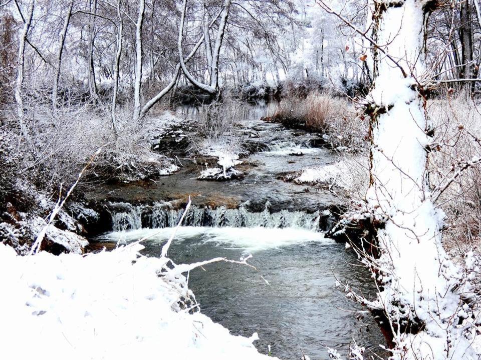 El Perfume Del Almendro ξενώνας Quintanilla del Agua Εξωτερικό φωτογραφία