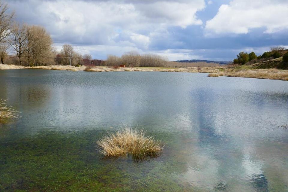 El Perfume Del Almendro ξενώνας Quintanilla del Agua Εξωτερικό φωτογραφία